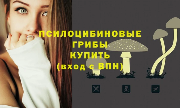 альфа пвп Нязепетровск
