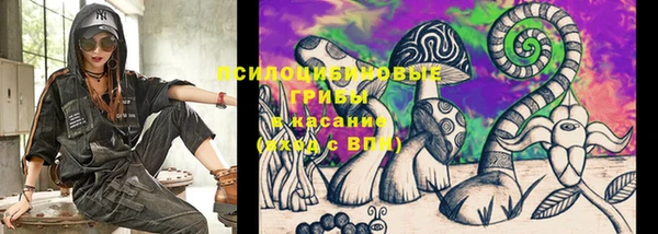 альфа пвп Нязепетровск