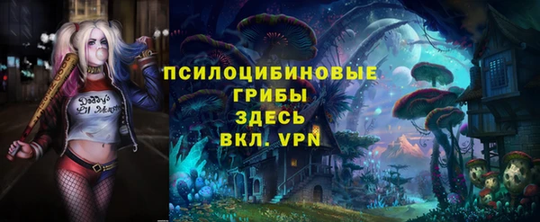 альфа пвп Нязепетровск