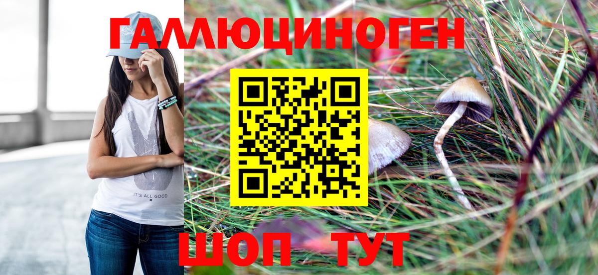 Шарыпово  что такое   Галлюциногенные грибы мухоморы  Вход с VPN  Псилоцибиновые грибы мицелий 